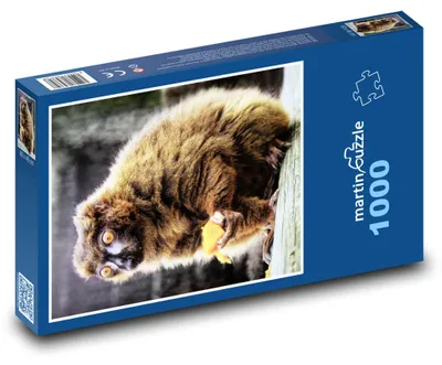 Produktbild von martinpuzzle - Puzzle 1000 Teile - Rotbauchmaki