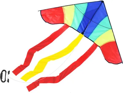 Zdjęcie produktu dla RAPPA Latawiec nylonowy 120 x 53 cm