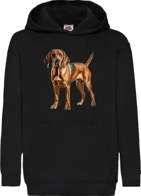 Zdjęcie produktu dla Dziecięca Bluza Z Kapturem Dogs Breeds Bloodhound Dog Breed 006, 5-6 Jahr - 116 / Czarny