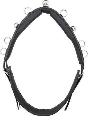 Produktbild von Kieffer Longiergurt Essentials Circle - schwarz - Warmblut