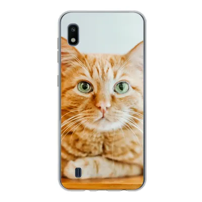 Produktbild von MuchoWow® Handyhülle Schutzhülle Hülle für Samsung Galaxy A10 Katze - Holz - Schrank Silikon Softcase Handy Hülle - Schutzhülle