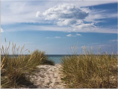 Produktbild von ARTland Wandbild Alu für Innen & Outdoor Ostseestrand in Dänemark Größe: 60x45 cm