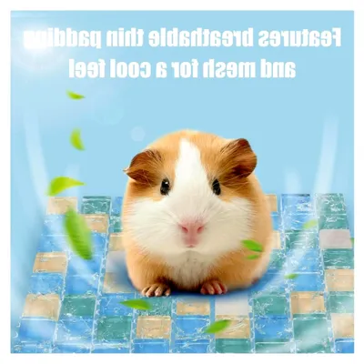Produktbild von Kühlmatte für Meerschweinchen und andere Kleintiere, 1er-Pack, waschbar, atmungsaktiv