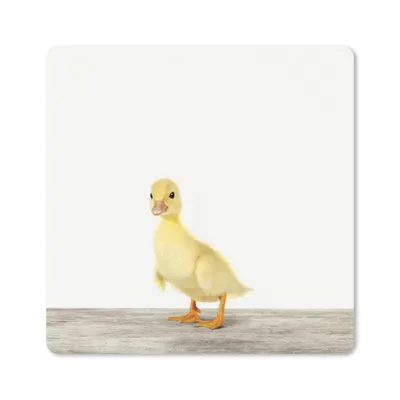 Produktbild von MuchoWow® Mauspad Mousepad Ente - Küken - Tiere - Süß - Mädchen - Jungen - Kinder 30x30 cm - Mousepads - Maus Mat - Pad - Mausunterlage - Gaming