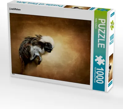Produktbild von Calvendo Lisztäffchen 1000 Teile Puzzle quer 640x480mm, Hultsch Heike; 7287632