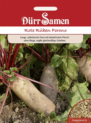 Produktbild von Dürr-Samen - Rote Rüben Forono - Saatgut - 0595