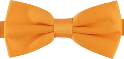Produktbild von Ladeheid Herren Schmale Herrenfliege M (12cm x 6cm)