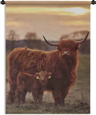 Produktbild von MuchoWow® Wandteppich Wandbehang Schottische Highlander - Tiere - Landschaft - Sonnenuntergang - Kuh 90x120 cm Tapisserie Dekoration Wandtuch - Wanddeko