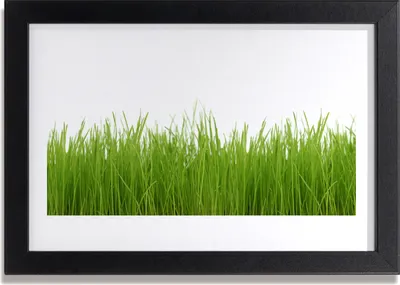 Produktbild von Bild 30x20 MDF-Rahmen Wandkunst Gras Natur Pflanze