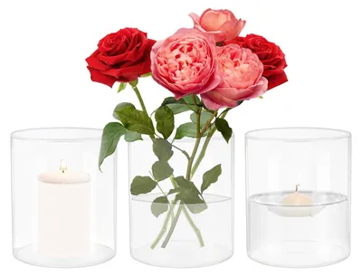 Productafbeelding van Cilindervazen 3 stuks - Helder Glas - Bloemenvaas - Tafelvaas - Diameter 8,5 cm - Hoogte 10 cm - Hoog Borosilicaatglas