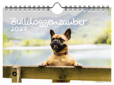 Produktbild von Bulldoggenzauber DIN A5 Kalender für 2027 Bulldoggen Hunde und Welpen