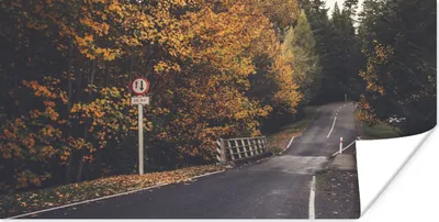 Produktbild von MuchoWow® Poster Bäume - Straße - Herbst 40x20 cm - Poster für die Wand - Poster Schlafzimmer