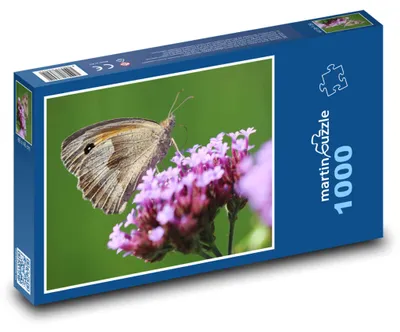 Zdjęcie produktu dla Puzzle 1000 Motyl na kwiecie - martinpuzzle