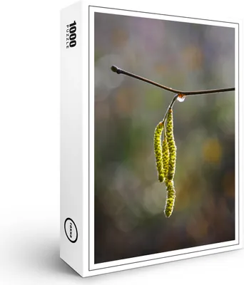 Produktbild von raxxa Premium-Puzzle "Haselkätzchen", 1000 Teile