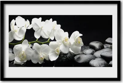 Produktbild von Bild 60x40 MDF-Rahmen Wandkunst Stein Blume Pflanze