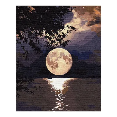 Obrázok produktu pre Maľovanie podľa čísel s rámom Maľovanie - Úplnok 40x50 cm