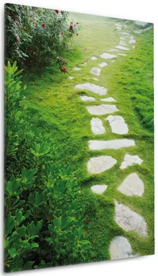 Produktbild von Wallario Premium Leinwandbild Steinweg im Grünen in Größe 60 x 90 cm