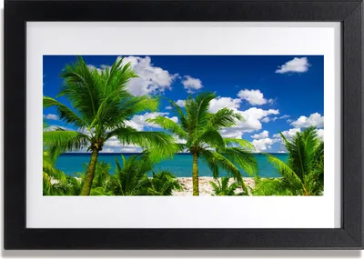 Produktbild von Bild 30x20 MDF-Rahmen Wandkunst Meer Palmen Landschaft
