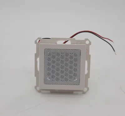 Image de Haut-parleur seul pour DIGITRADIO UP 55