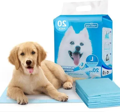 Produktbild von Famanu Trainingsmatte Ultra-absorbierend - 90 x 60 cm, 20 Stück
