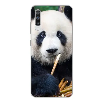 Produktbild von MuchoWow® Handyhülle Schutzhülle Hülle für Samsung Galaxy A70 Panda - Bambus - Natur Silikon Softcase Handy Hülle - Schutzhaube