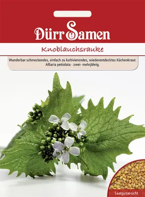 Produktbild von Dürr-Samen - Knoblauchrauke - Saatgut - 1836