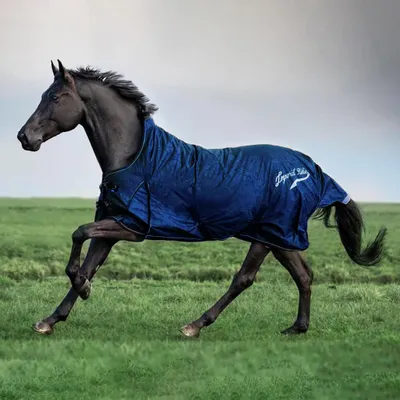 Produktbild von Imperial Riding Outdoordecke 100g IRHSuper-Dry Navy 195 (145 cm)