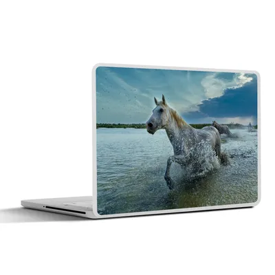 Produktbild von MuchoWow® Laptop Aufkleber Sticker Cover Pferd - Wasser - Tropfen 30x21 cm - Sticker für Laptop - Selbstklebend