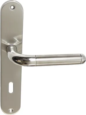 A stainless steel door handle with a long plate, photographed against a white background.
