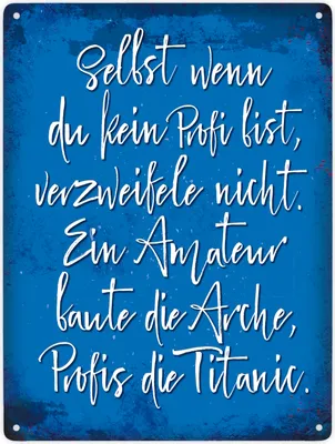 Produktbild von Selbst wenn du ein Profi bist, verzweifele nicht Metallschild XXL Schild
