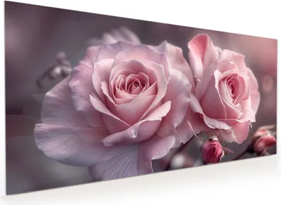 Produktbild von Küchenrückwand Spritzschutz Glas mit Motiv Romantische Rosen 40 x 40 cm