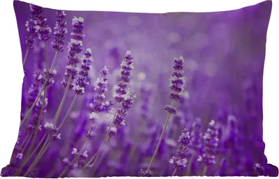 Produktbild von MuchoWow® Outdoor Kissen - Lavendel - Nahaufnahme - Blumen - Lila - 60x40 cm - Wetterfest - Lounge Kissen - Zierkissen - Kissen für Innenräume