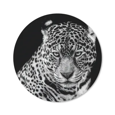 Produktbild von MuchoWow® Mauspad Mousepad Leopard - Tiere - Schwarz - Weiß - Porträt 20x20 cm - Mousepads - Maus Mat - Pad - Mausunterlage - Schreibtischmatte