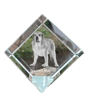 Immagine prodotto di Art-Dog Fermacarte – Mastino spagnolo