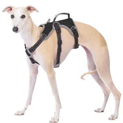 Image de Harnais pour chien, anti-évasion, réfléchissant, avec poignée, réglable, noir, taille L