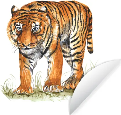 Produktbild von MuchoWow® - Wand Kreis - Wand Bild - Foto Tapete - Selbstklebende - Wohnzimmerdekoration - Wand Dekoration - Kinderzimmer
