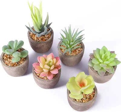 Produktbild von 6 Stück Künstliche Pflanzen Dekorative Topfpflanzen, Künstliche Sukkulenten, Outdoor Home Decoration