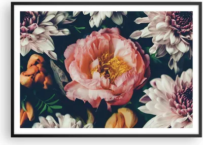 Produktbild von Gerahmtes Poster - Schwarzer Rahmen - Blumen Pfingstrose Holzig - 100x70 cm - Wand Bild - Wanddeko - Wandbilder - Kunstposter - Wandposter - Bilderrahmen - Bilder - Kunstdruck - P2BAA100x70-4661