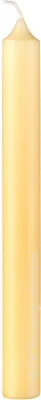 Produktbild von Altarkerze (Stabkerze) Champagner 250 x Ø 40 mm, 1 Stück