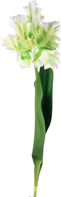 Produktbild von Kunstblume Papageientulpe Deko Tulpe für Frühlingsdekoration