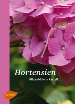 Obrázok produktu pre Hortensien