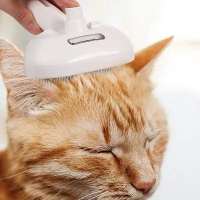 Produktbild von Dampfbürste für Katzen – 3 in 1 – Langes & Kurzes Haar – Dampfbürste für Katzen – Dampfbürste für Katzen – Dampfbürste für Katzen