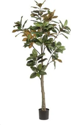 Zdjęcie produktu dla Sztuczna roślina Magnolia Grandiflora ↕180 cm – sztuczna roślina zielona do salonu, biura, przedpokoju i jako łatwa w pielęgnacji dekoracja