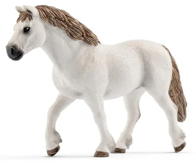 Obrázek produktu pro schleich FARM WORLD Welsh pony mare, 3 rok/roky, Béžová, Bílá, 1 kusů