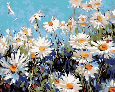 Produktbild von Diamondi - Diamond painting - MARGERITEN, 40X50 cm, ohne Keilrahmen