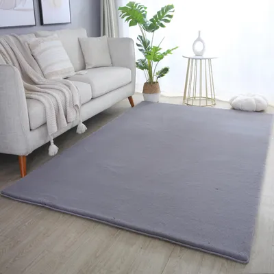 Image de Homebyhome Tapis à Poils Longs Doux Uni Effet Fourrure Moelleux Peluche Super Confortable pour Salon, Taille: 240x340 cm