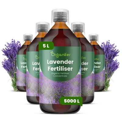 Produktbild von Lavendel Flüssigdünger 5x1L – 2-1-8 NPK – Flüssig-Pflanzendünger für Lavendel – Organifer