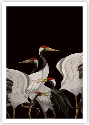 Produktbild von Poster - Poster ohne Rahmen - Kraniche Vögel Grafiken - 70x100 cm - Wand Bild - Wanddeko - Wandbilder - Kunstposter - Wandposter - Bilder - Kunstdruck - Wanddekoration - Wandbild - P2XPA70x100-4748