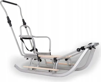 Produktbild von Schlitten mit Rücklehne Silber Kinderschlitten Schubbügel Rodel und Fußstützen Metall Holzsitz Metallschlitten