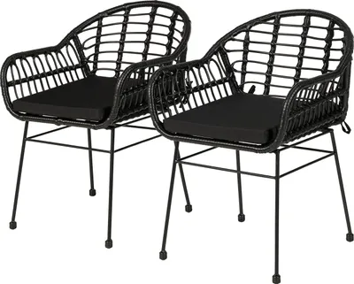 Produktbild von home24 Gartenstuhl - 2er-Set - Polyrattan / Stahl